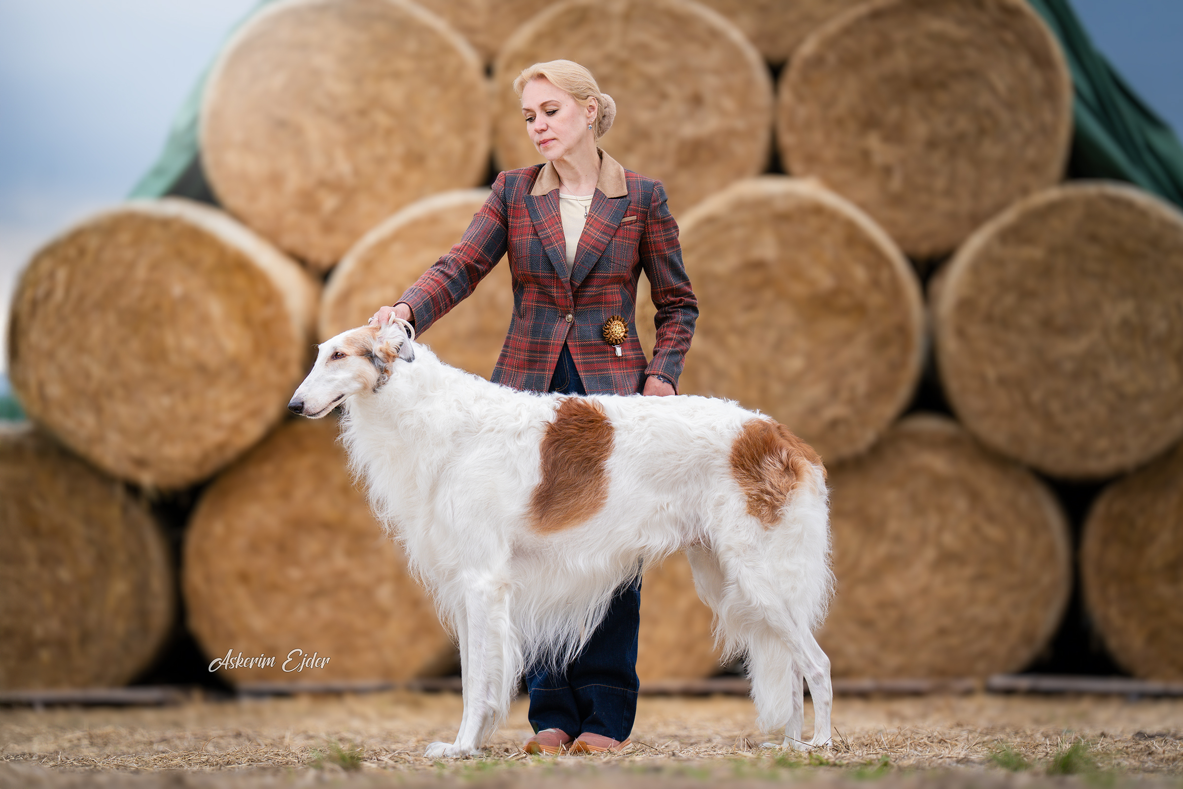 Marco Licinio Crasso Dell´ Antica Carsulae