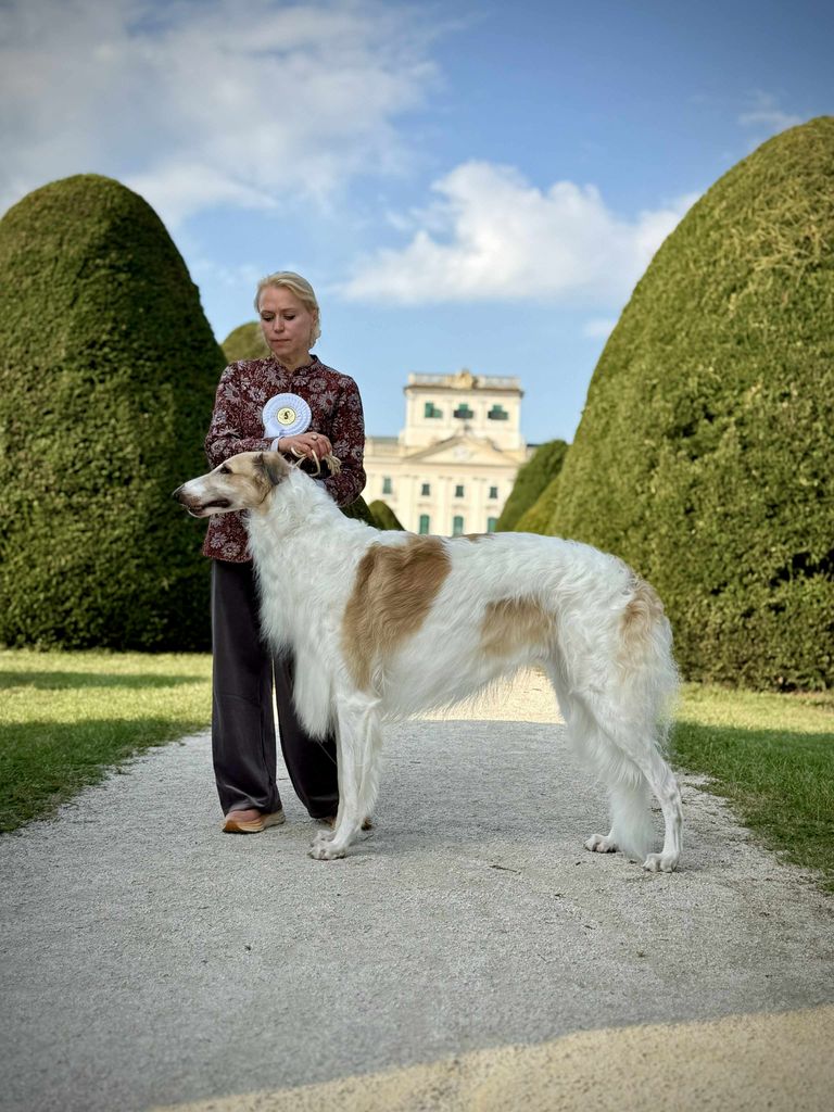 Constantine Adrasteia Alojka