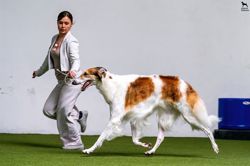 Metello Caecilio Quinto Dell'Antica Carsulae