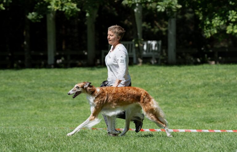 633909304_10162823841463768_3582475785722221480_n