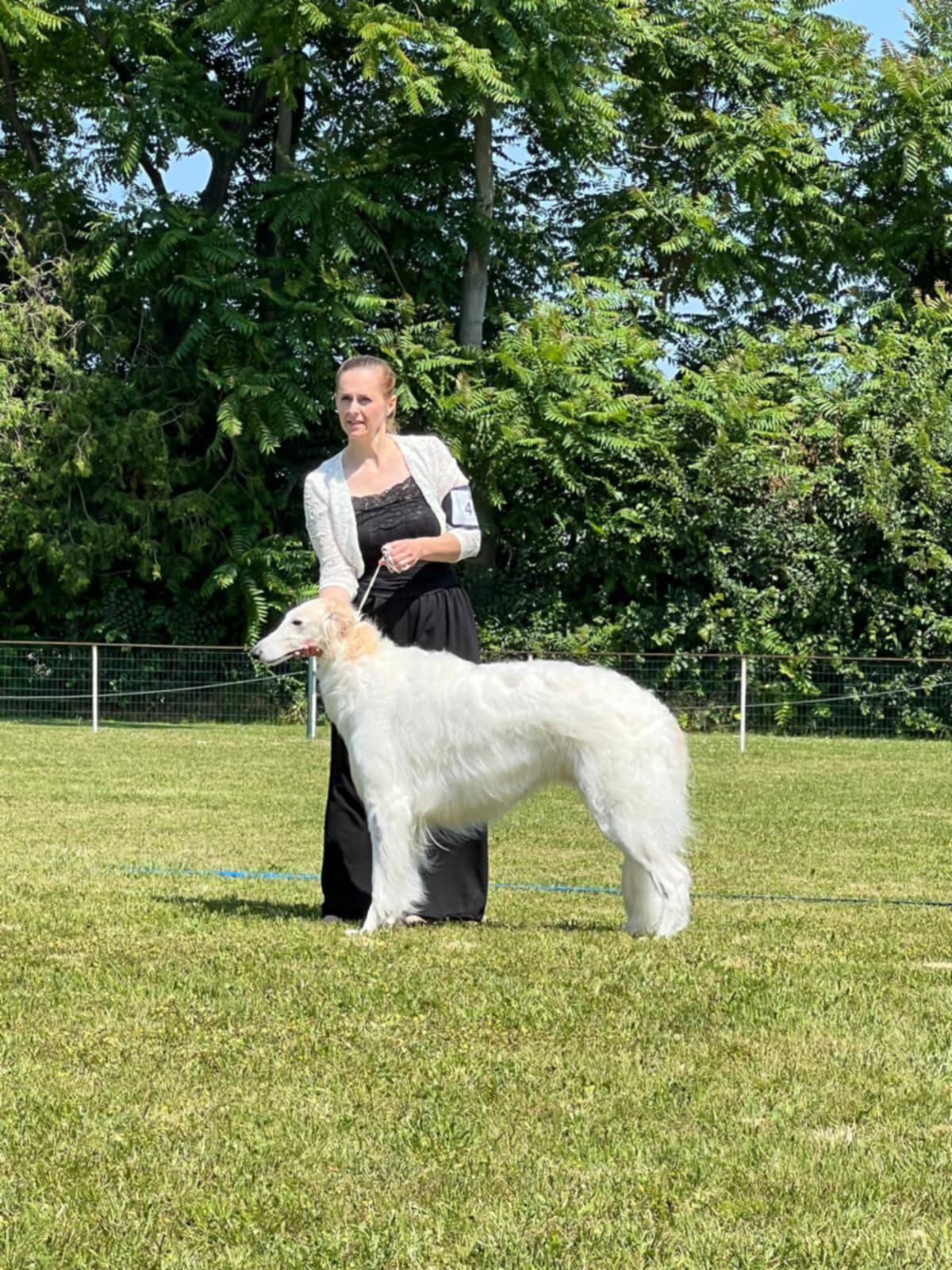 Figura Caratovna Radena Slovakia