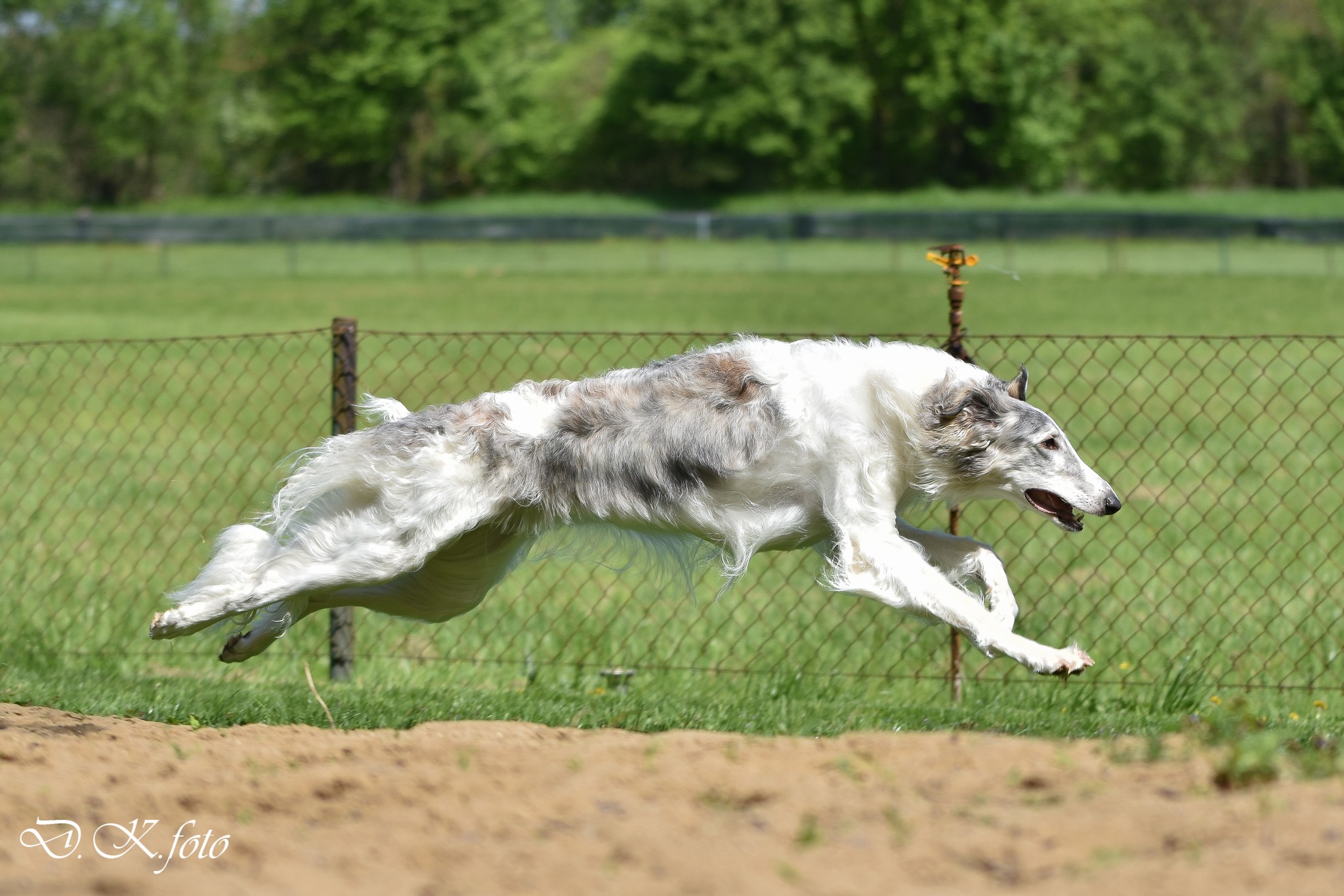 Igrushka Radena Slovakia
