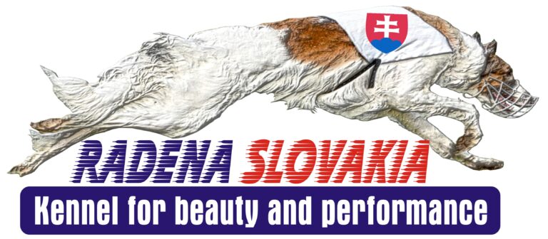 Logo Radena Slovakia